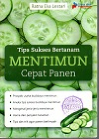 Tips sukses bertanam mentiun cepat panen