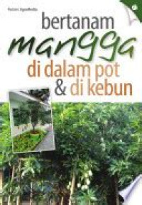 Bertanam mangga di dalam pot dan di kebun