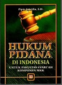 Hukum pidana di indonesia